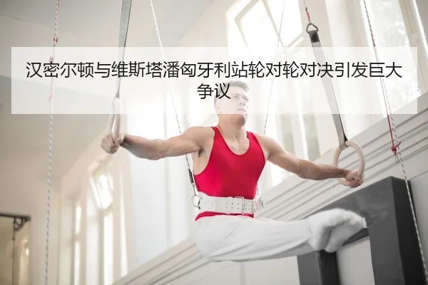 han-mi-er-dun-yu-wei-si-ta-pan-xiong-ya-li-zhan-lun-dui-lun-dui-jue-yin-fa-ju-da-zheng-yi-2-621.jpg